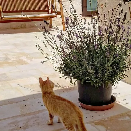Le Chiancarelle, Casa Holiday home *